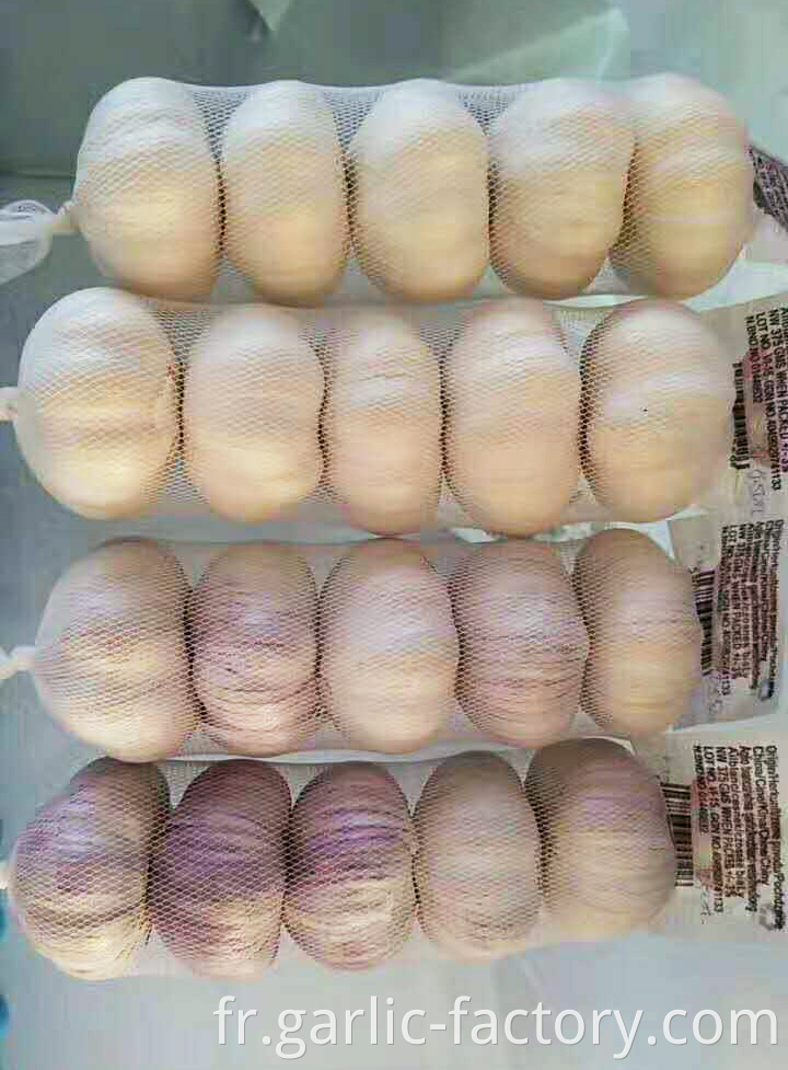 Garlic wholesale Hot sales